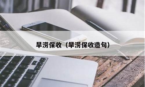 旱涝保收什么意思啊解释_旱涝保收的拼音怎么写