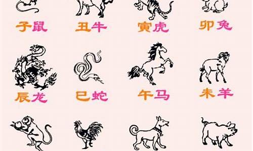 求字猜一生肖_求打一生肖的生肖是什么动物