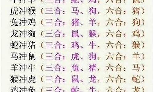 是指什么动物_采打一生肖是什么